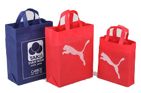 Brand Promotion Non Woven Loop Handle Bag 