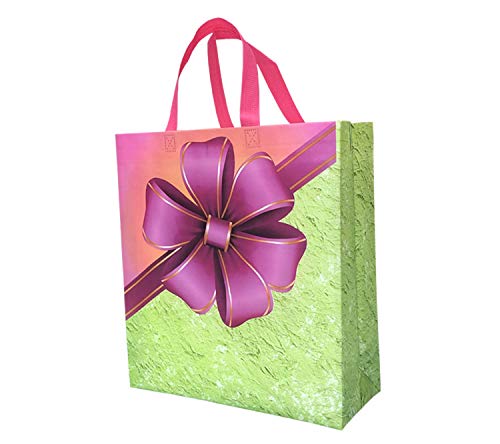 Non Woven Laminated Gift Carry Bags